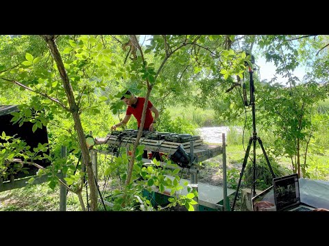 Patrick DSP - Shitlabel Live Stream 01.06.2020