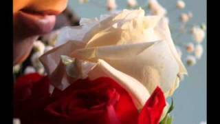 Joe South - Rose Garden