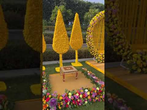 #Haldidecor #Decorationideas  Best Wedding planning services in Lucknow  Contact - | +91- 8896236306
