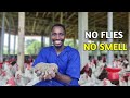 NO SMELL Chicken House How Often Should You Change The Litter