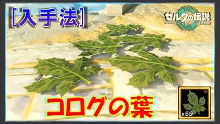 【ゼルダの伝説ティアキン】「コログの葉」の入手方法！うちわが作れます！