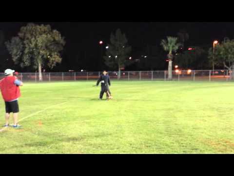 Irondog IDP1 2-Man Attack on Handler