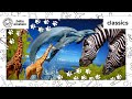 World Animal Adventure Baby Einstein Classics Learning Show For Toddlers Kids Cartoons