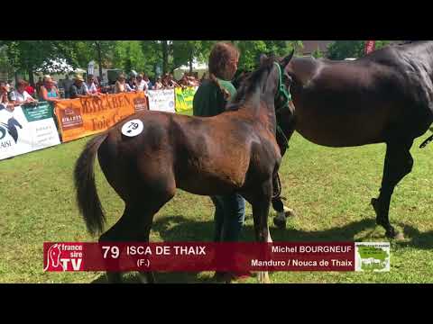 Sprinter Sacré Show 2018 : Lot 79 - ISCA DE THAIX