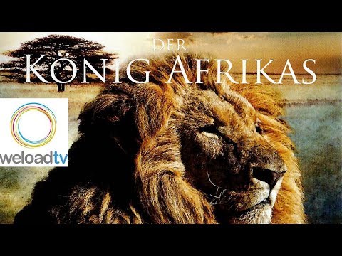 Der König Afrikas (Doku deutsch)