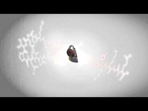 Mizuno Wave Rider 17 M 