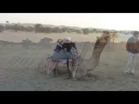 Kamelritt in der Thar Wüste