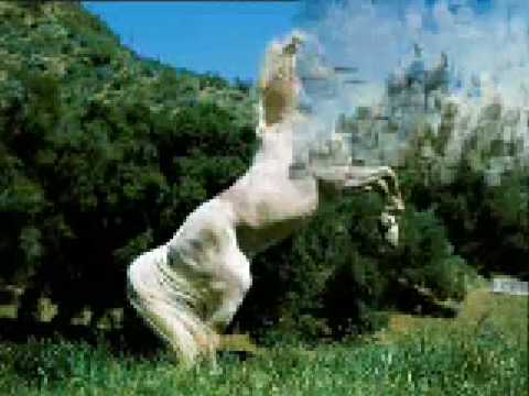 Download Natasha Bedingfield Wild Horses download natasha bedingfield wild horses