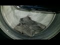 Samsung Cotton Eco 40 Full Cycle Fail