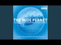 Sardine Run The Blue Planet Music For The BBC TV Series