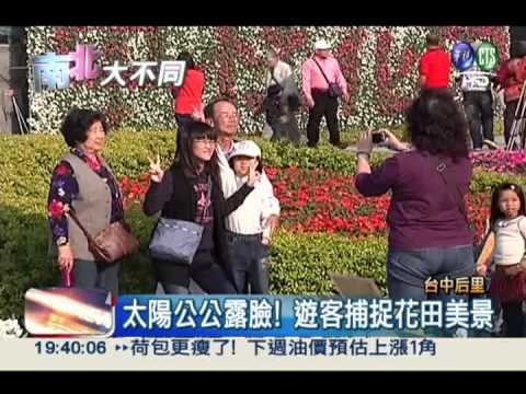 台中后里花海 15萬株鬱金香比美