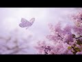 Beautiful Relaxing Music:  2 HOURS : Sad Violin and Piano - Relaxing Instrumental Music