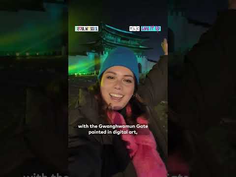 서울시 x WBD — Seoul TLC Influencer