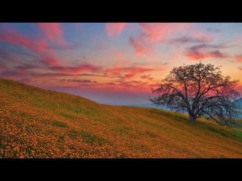 Store N Forward - Computer Music (Original Mix)