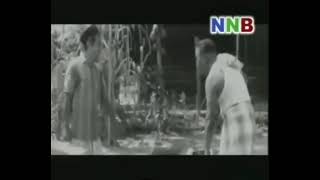 Download lagu p ramlee keluarga 69 mp3 Download lagu p ramlee keluarga 69 mp3