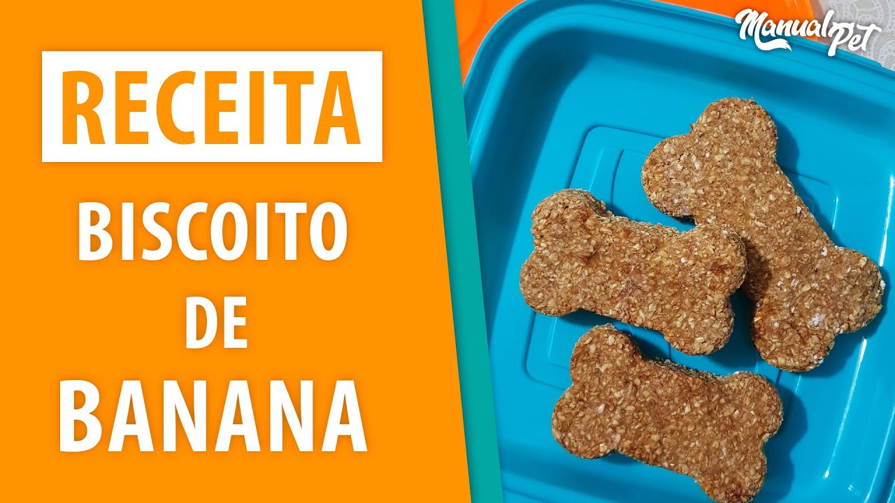 RECEITA PET - Saiba como fazer um biscoito de banana para o seu pet!