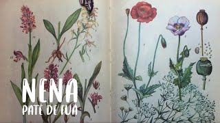 Nena Lyrics English Translation