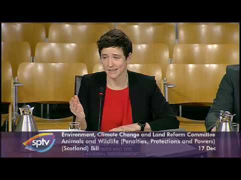 Environment, Climate Change and Land Reform Committee - 17 December 2019