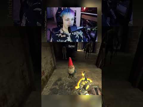 Gnome ruining the mood #halflife2 #streamclip #livestream #twitchclip #clips #themood #gnome