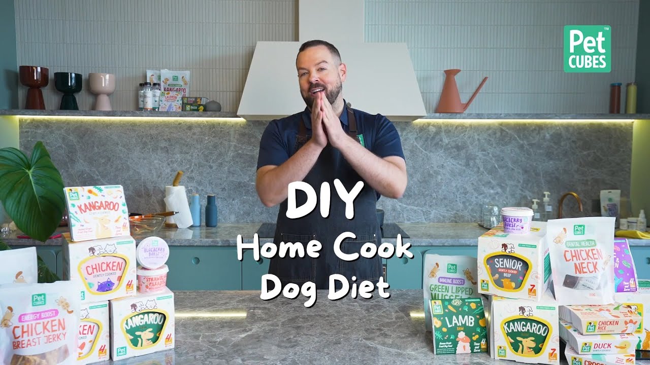 DIY Home-cooked Dog Diet | What is a good home-cooked dog food recipe?