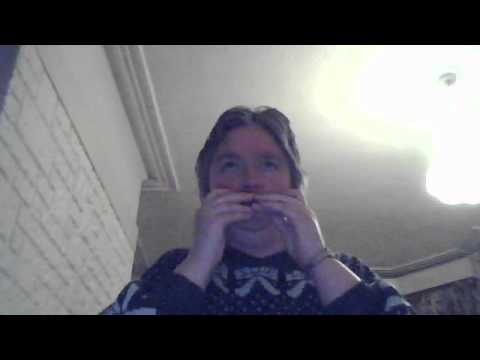 Long Live Love (Sandie Shaw cover) on harmonica