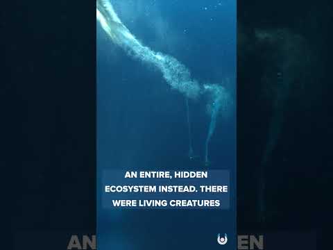 A Bizarre Discovery in Antarctica | Unveiled