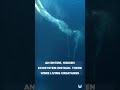 A Bizarre Discovery In Antarctica Unveiled