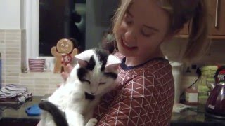 GRILLED CHEESE by CHERRY GLAZERR