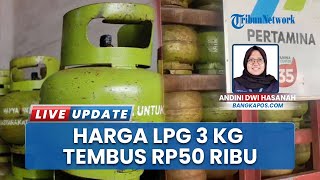 LPG Subsidi 3 Kg Makin Langka, Harga Gas di Wilayah Pulau Bangka Tembus Rp50 Ribu per Tabung