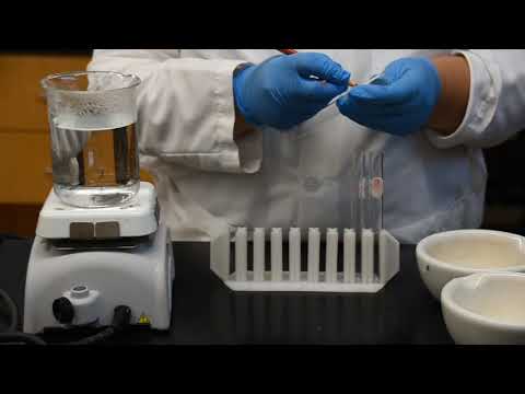 Macromolecules of Life — Lab Experiment