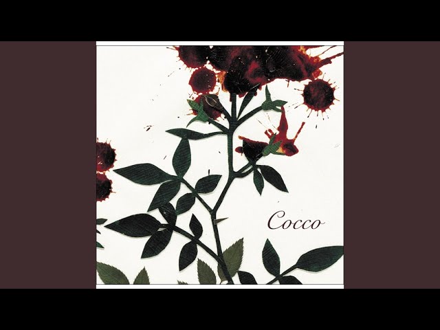コーラルリーフ / Cocco