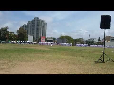 MLC Junior Sports meet 22.9.2016