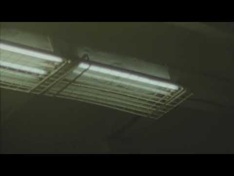 Oscar Jerome - The Potato (Visualiser)