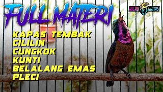 Download lagu MASTERAN KONIN FULL ISIAN MEWAH SUARA JERNIH - KOLIBRI NINJA MATERI MEWAH mp3