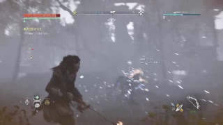 HORIZON ZERO DAWN #2