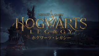 HOGWARTS LEGACYの世界で魔法使いになりたい＃1　初めてのグリゴッツ銀行で手荒な歓迎