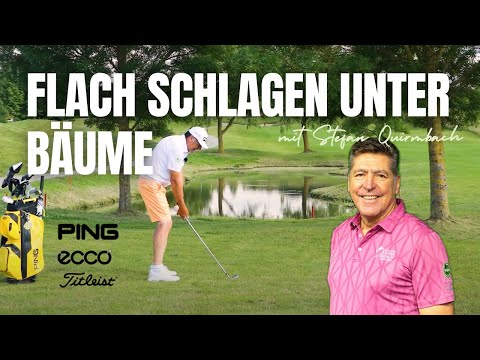 Spiele deinen Golfball bewusst flach unter Bäume!