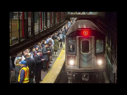 Chapo Reading Series (ft. David Roth) - Free Market Genius Solves New York’s Subway Problems