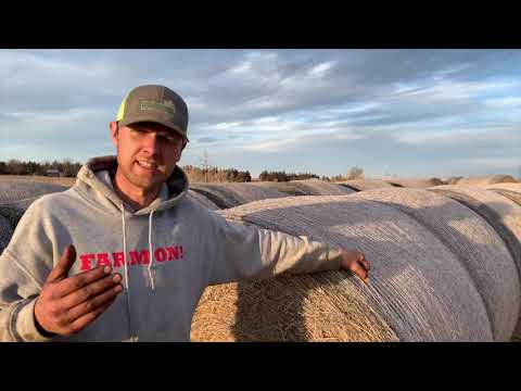 Out standing in their field? What happens to bales stored outside after over a year...