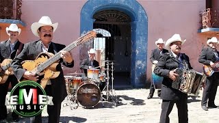 Cardenales de Nuevo León - Por qué me ocultas (Video Oficial)