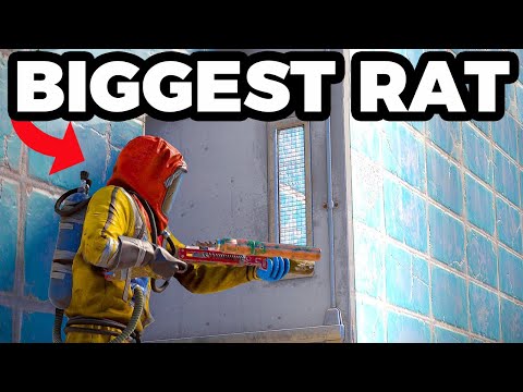 The Biggest Rat of Oxum's Gas Station