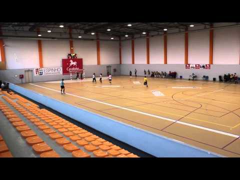 NGD/CAVALINHO 6 - 2 LOURIÇAL