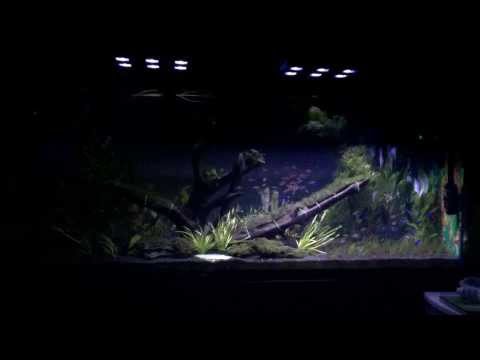 Ghl mitras lx 6200 hv led light storm simulation