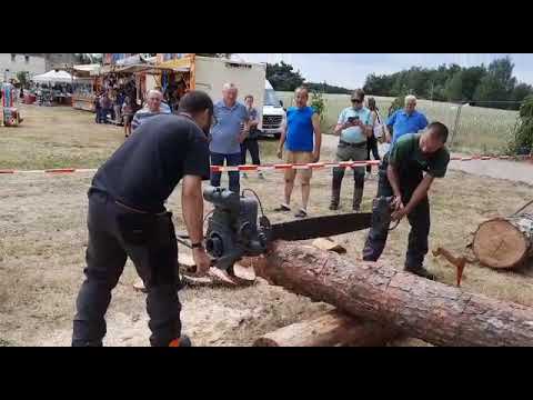 REXO RS oldtimer 2-Mann-Säge