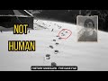 Dyatlov Pass The Photo They Don T Want You To See The Unsolved Mystery
