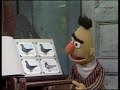 Classic Sesame Street Bert Sings One Of These Pigeons 1975