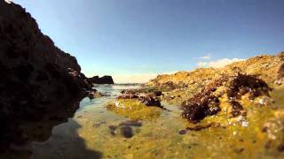 Trying Away - Robert Bonet