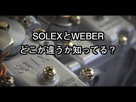 IUCN分類における絶滅の危険性を示す図。