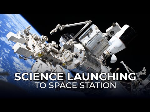 Science Launching on NASA's SpaceX 33rd Cargo Resupply Mission to the Space Station