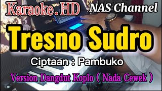 Download lagu Tresno Sudro - Karaoke.HD ( Nada Cewek) - Version Dangdut Koplo // NAS Channel mp3